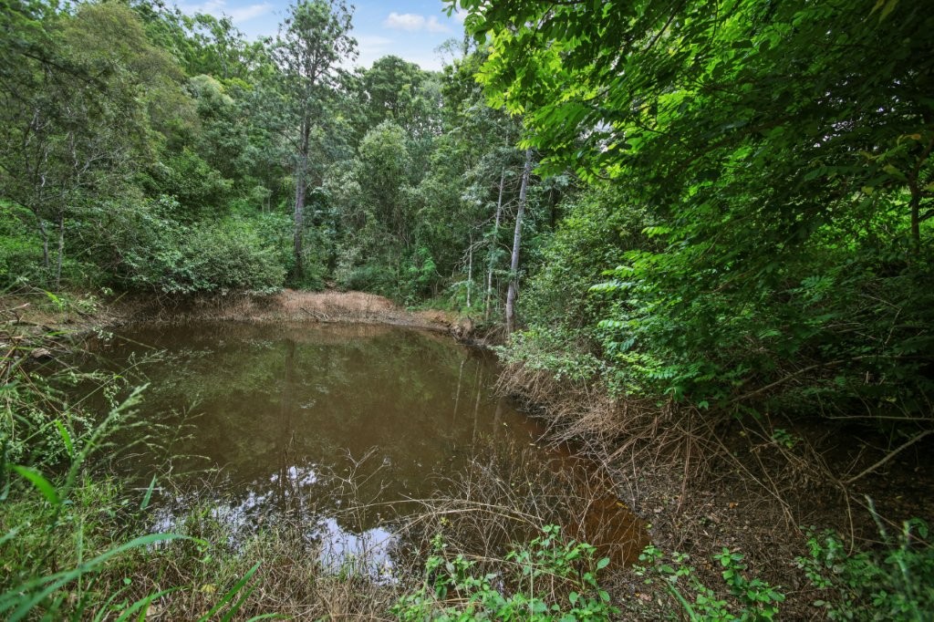 11 Tranquil 40 Acreage Retreat